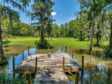 135 Statham Lake Front, Cobb, GA 31735 - photo 3