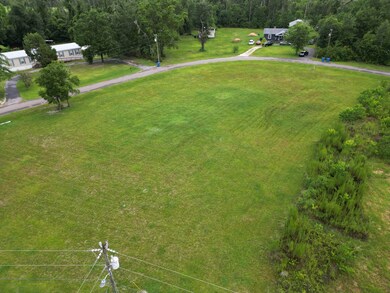 LOT 1 Thomas Cir, Wewahitchka, FL 32465 - photo 5