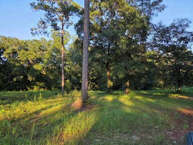 000 Lakeshore Way, Cordele, GA 31015 - photo 4