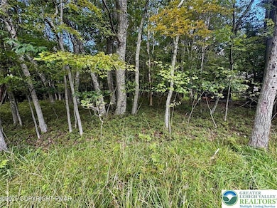 0 Bear & Behrens Rd unit 764100, Penn Forest Township, PA 18229 - photo 3