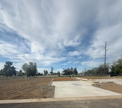 Progress Photo