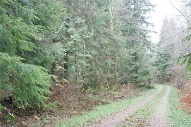 27418 E Lake Riley Rd, Arlington, WA 98223 - photo 7