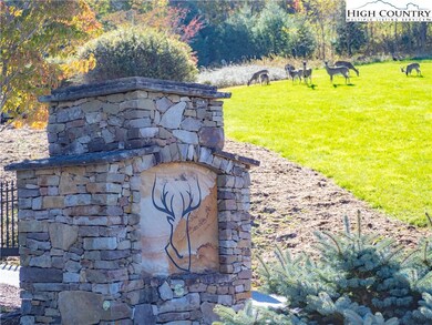 17 Antler Trail, Boone, NC 28607 - photo 5