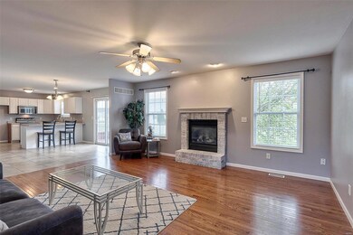 305 Silverthorne Dr, Freeburg, IL 62243 - photo 3