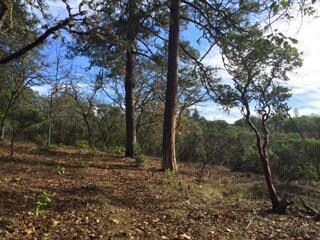 0 S Vannoy Creek Rd, Grants Pass, OR 97526 - photo 3