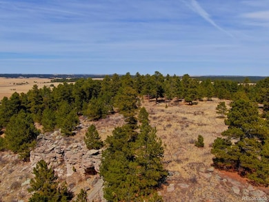 18673 N Elbert Rd, Elbert, CO 80106 - photo 2