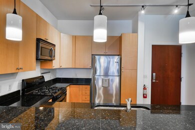 Twelve 09 unit 111, Baltimore, MD 21201 - photo 4