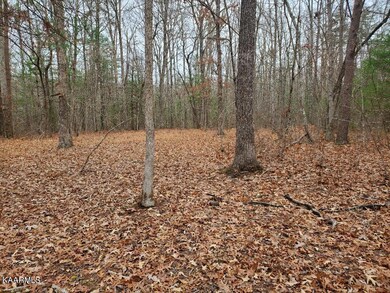 Scott Wyatt Pictures #3