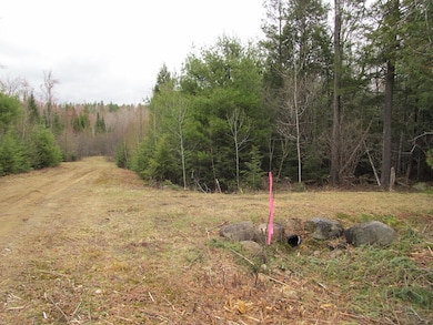 052 Bradbury Ridge Rd Off Averill, Dixfield, ME 04224 - photo 4