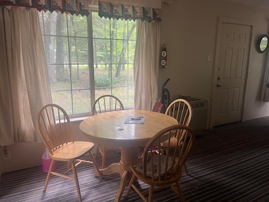 2535 W Wilderness Way, Baldwin, MI 49304 - photo 6