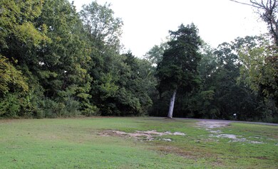 IMG_6395 (1)