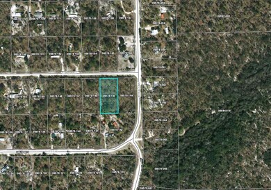 0 Turkey Oak Rd unit 145 270577, Keaton Beach, FL 32348 - photo 4