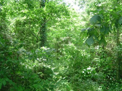 0 Mill Rd, Shelbyville, TN 37160 - photo 3