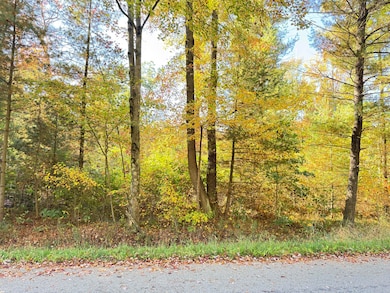 0 E Tyler Rd unit 25049107, Twin Lake, MI 49457 - photo 3