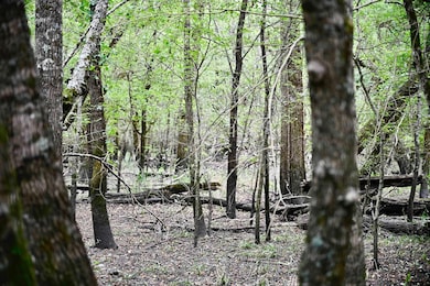 TBD W Fm 71, Talco, TX 75487 - photo 2