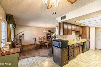 36-IMG_6271