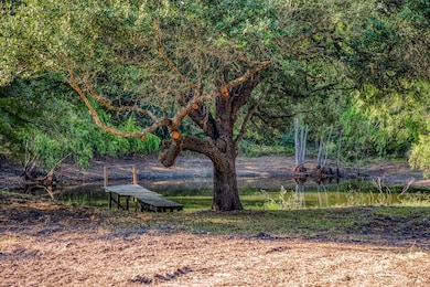 Tract 6 Sun Oil Rd, Brenham, TX 77833 - photo 6