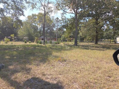 147 Podium Rd, Cordova, SC 29039 - photo 5