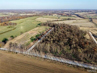 Aerial overview of property's location featuring rural landscape and rows of crops
