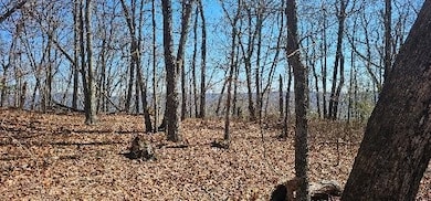 1 S Vista View Dr, Dunlap, TN 37327 - photo 2