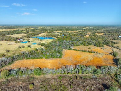 TBD County Road 1806, Grand Saline, TX 75140 - photo 4