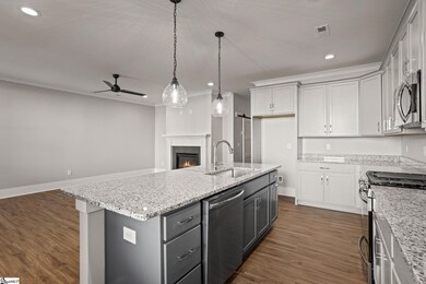 1325 S Pinot Rd, Duncan, SC 29334 - photo 6