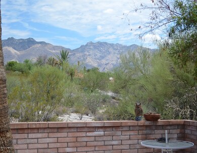 Mountain View from Guest house