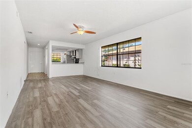 dining / living area