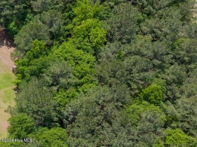 DJI_0717