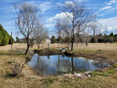 Pond