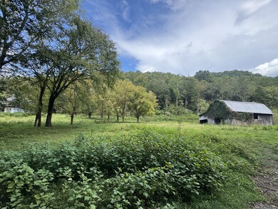 0 Hurricane Branch Ln unit RTC2988788, Gainesboro, TN 38562 - photo 6