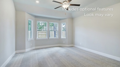 16167 Sheridan River Trail, Conroe, TX 77302 - photo 4