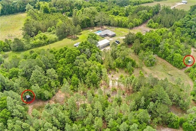 Drone / aerial view with a forest view. Shooting h