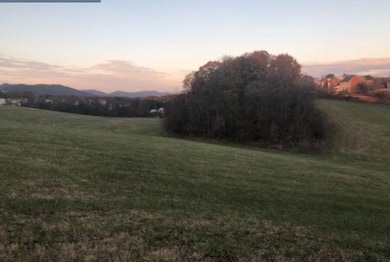 0 E Ruritan Rd, Roanoke, VA 24012 - photo 2