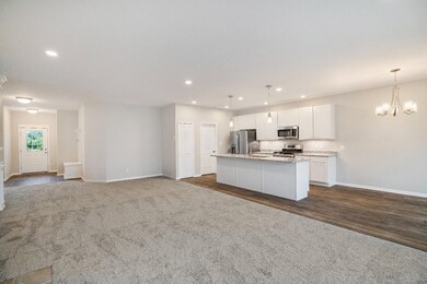 11411 W 123rd Ave, Cedar Lake, IN 46303 - photo 6