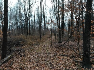 19312 Township Rd 284, Coshocton, OH 43812 - photo 5