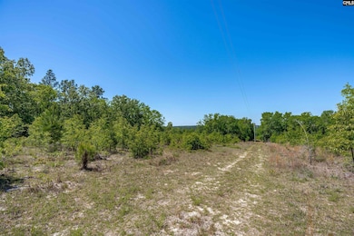 tbd Mack St, Gaston, SC 29053 - photo 2