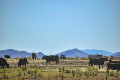 0 County Road 15 5, Blanca, CO 81123 - photo 7