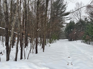 3.75 Acres Wayne Rd, Pentwater, MI 49449 - photo 2