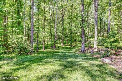 4080 Lee Ln, White Plains, MD 20695 - photo 5