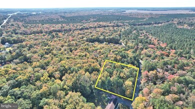 Lot 3 Molly Field Rd, Dagsboro, DE 19939 - photo 3