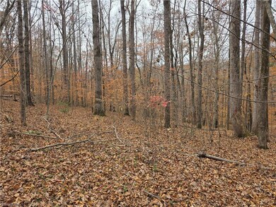 4901 & 4927 Montford Rd, Pfafftown, NC 27040 - photo 7