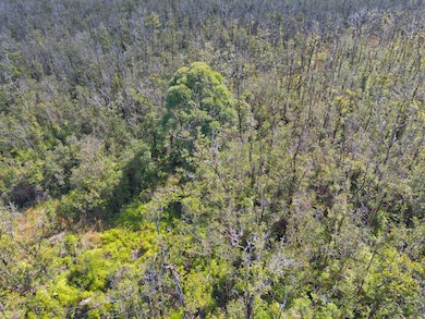 0 Omeka Rd unit 725488, Volcano, HI 96785 - photo 3