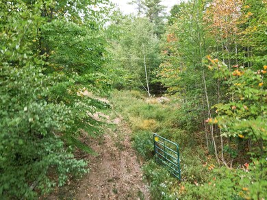 00 and Lot 11 Peaked Hill Rd unit 7.1, 7.2, 7.3, 7.4 A, Bristol, NH 03222 - photo 5