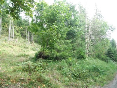 0 Fisk Rd E unit 693308, Orting, WA 98360 - photo 4