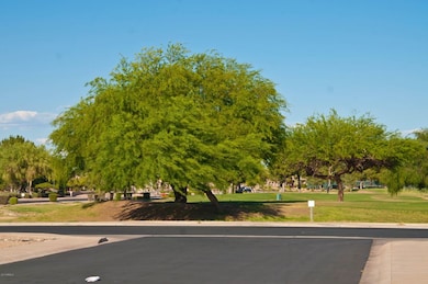 05 Golf course view from curb