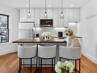 217 Boylston St unit 3, Jamaica Plain, MA 02130 - photo 2