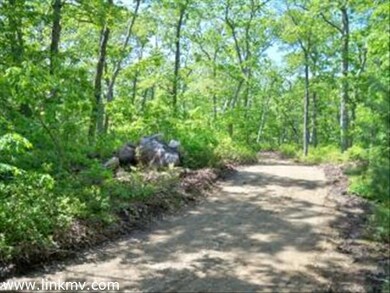 60 lot 3 Pepperbush Way, West Tisbury, MA 02568 - photo 3