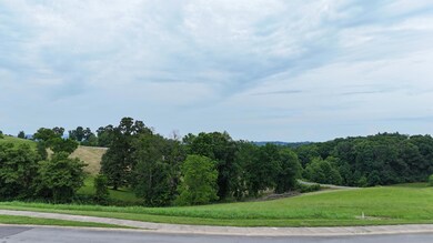 DJI_20240522180419_0006_D