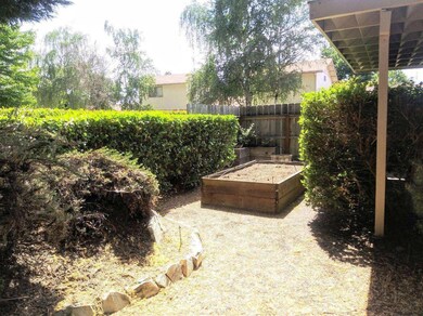 raised garden